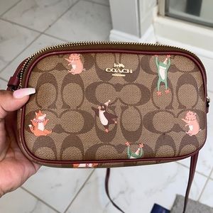 Small coach crossbody